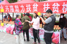 恒峰g22·(中国游)最新官方网站